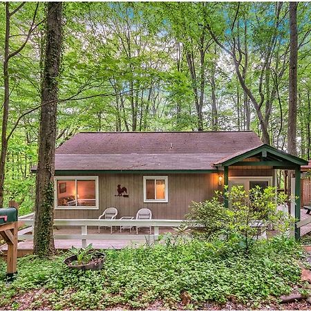 Вилла Smoky Mountain Treehouse Мегги-Вэлли Экстерьер фото